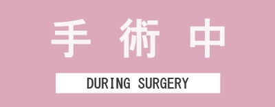 東京上野クリニックの美容整形の包茎手術